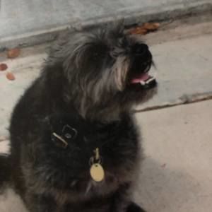 Meet your Posher, Joelyn